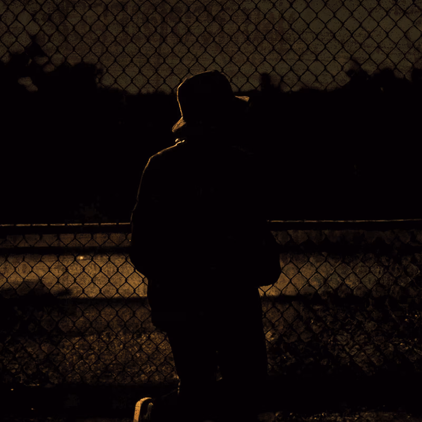 barleyy standing at a fence at night