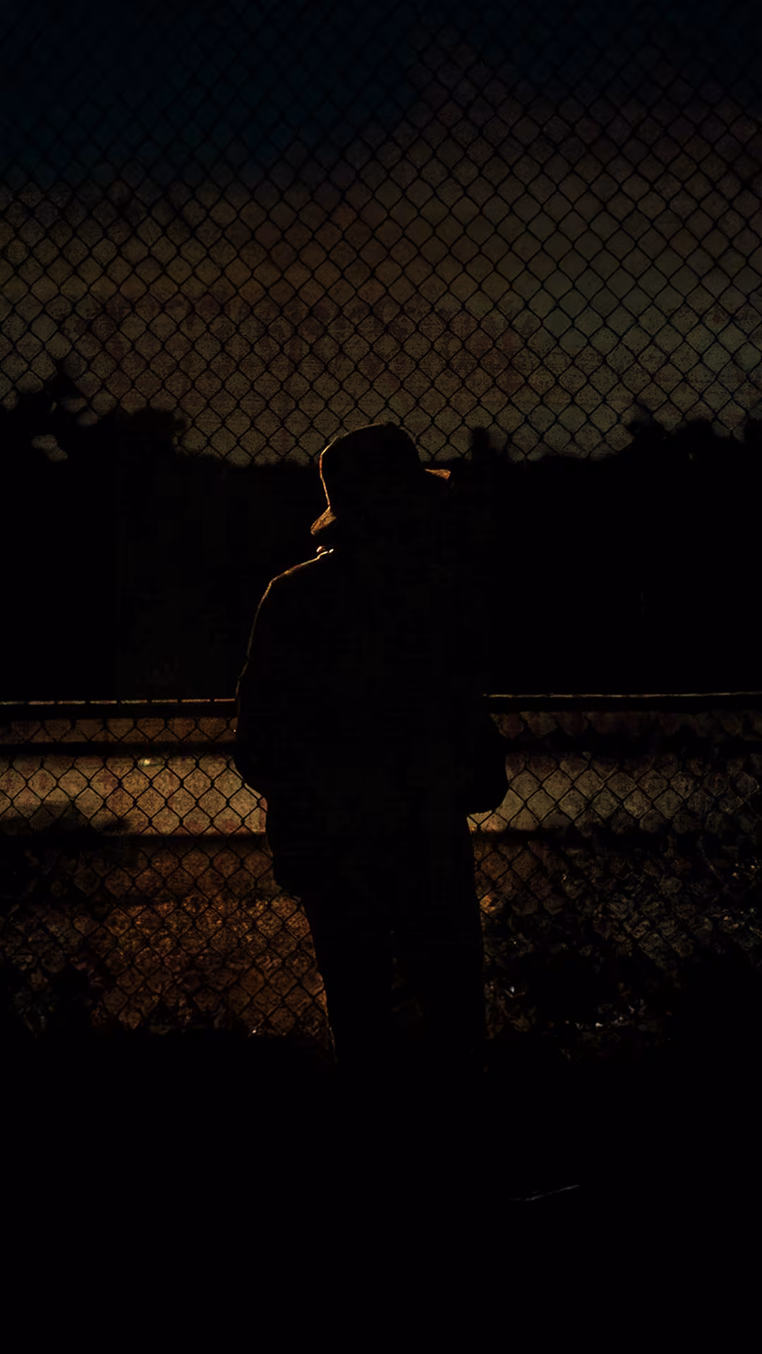 barleyy standing at the fence at night